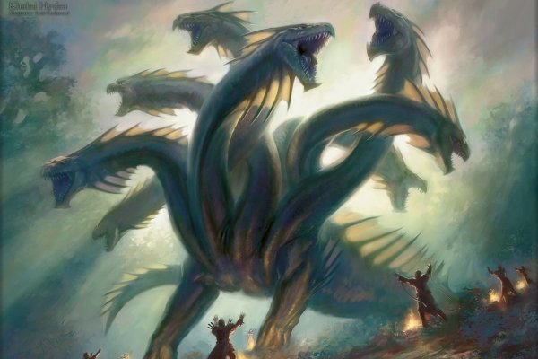 Kraken 18