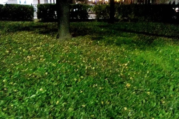 Даркнет официальный сайт на русском