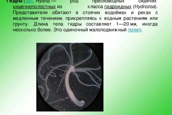 Kraken сайт зеркала