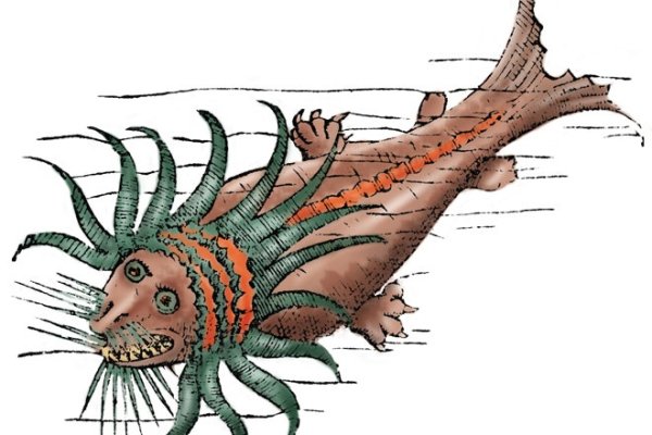 Kraken at зеркало