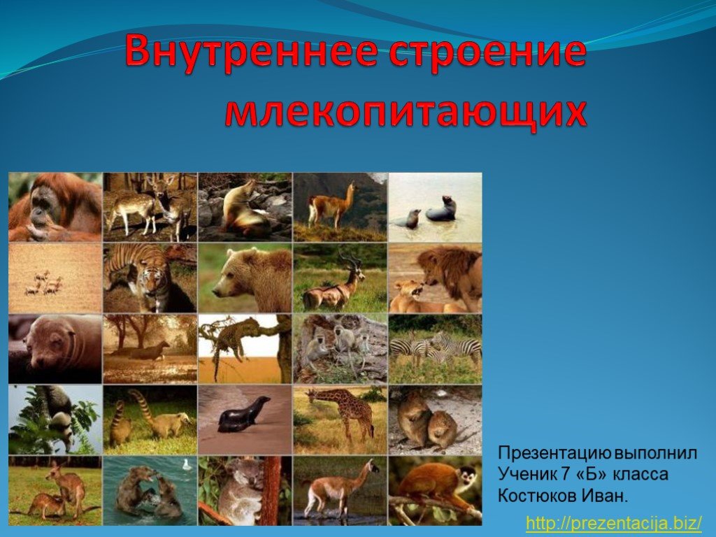 Как зарегаться на кракене